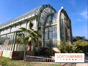 Automne tropical 2026