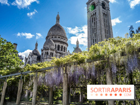 Ou voir les plus belles glycines de Paris, les spots incontournables et cachés - square Marcel Bleustein Blanchet