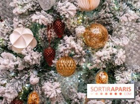 Ce Marché de Noël en Essonne promet chocolat chaud et passage du Père Noël avec ses rennes