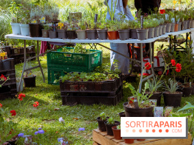 Les Naturiales 2026 à Fontainebleau : marché de plantes et animations nature en Seine-et-Marne