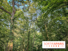 Les Nuits des Forêts 2023 en Seine-Saint-Denis (93) : Le programme