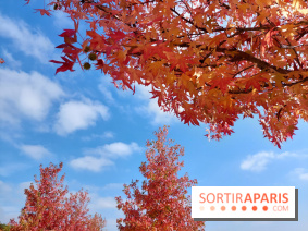 Que faire ce week-end à Paris et en Île-de-France, les 17, 18 et 19 octobre 2025 