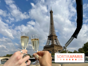Sortie romantique : Une croisiere privée en couple le long de la Seine à Paris