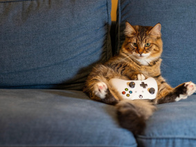 Neige et verglas : notre sélection des jeux vidéo du moment pour rester bien au chaud