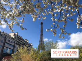 Visuel Paris, Tour Eiffel printemps