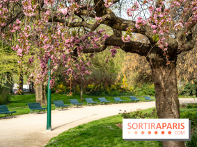 Visuel Paris arbres en fleurs, jardins, parc