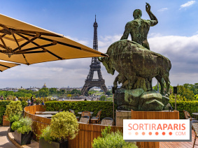 visuel Paris visuel  - Tour Eiffel - terrasse - café