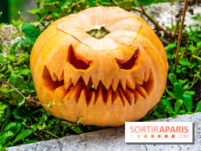 Halloween 2020 : comment creuser sa citrouille ? Le tuto