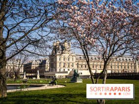 Cerisiers en fleurs à paris et aux alentours - Jardins des Tuileries - magnolias