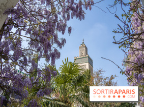 La Mosquée de Paris et son jardin en fleurs