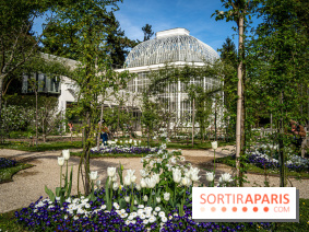 Les jardins du Musée Albert Kahn, nos photos 
