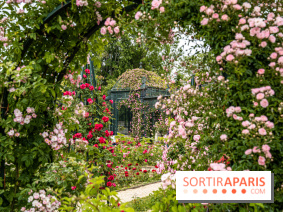 Photos : La Roseraie du val-de-Marne