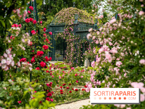 Photos : La Roseraie du val-de-Marne