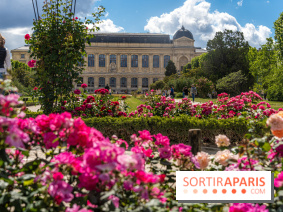 Photos La roseraie du Jardin des Plantes