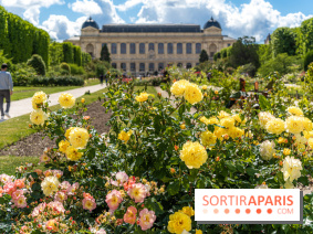 Photos La roseraie du Jardin des Plantes