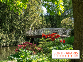 Arboretum de la Vallée-aux-Loups, une balade au milieu des arbres remarquables - A7C07780