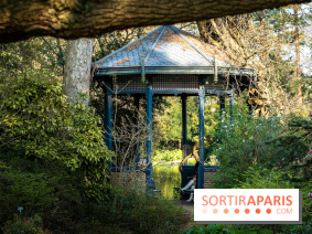Arboretum de la Vallée-aux-Loups, une balade au milieu des arbres remarquables