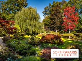 Le Jardin japonais du Château de Courances