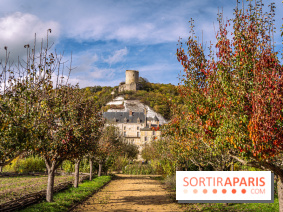 Château et potager de la Roche-Guyon