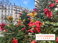 Noël Paris visuels - cadeau - sapin - Marché de Noël - cadeau de Noël - décoration - Mairie 11e