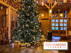 Noël Paris visuels - sapin de noël