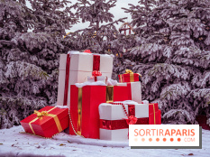 Noël Paris visuels - cadeau Noël