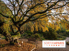 Le Jardin Alpin caché du Jardin des Plantes