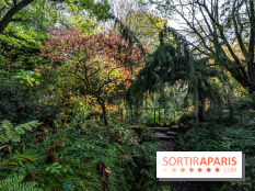 Le Jardin Alpin caché du Jardin des Plantes