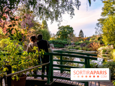 Saint-Valentin visuel saint Valentin - couple