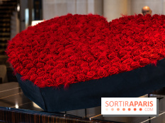 Saint-Valentin visuel saint Valentin  -  A7C2620