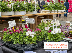 Esprit Jardin à Versailles - Marché aux plantes et animations