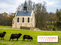 Domaine National de Port-Royal des Champs dans les Yvelines -  A7C3207