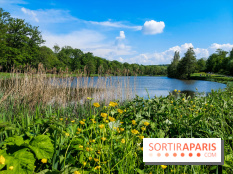 Balade nature dans la forêt de Montmorency, nos photos