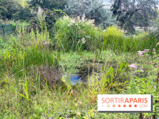 Le parc Georges Brassens, pour se croire à la campagne dans le 15e