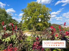 Parc de la butte du chapeau rouge