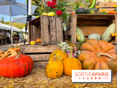 Automne au Potager du Roi - Citrouilles - Halloween