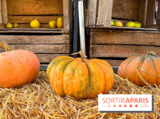Automne au Potager du Roi - Citrouilles - Halloween