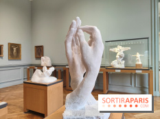 Le Musée Rodin, ses collections et son jardin - La Cathédrale