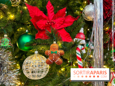 Les vitrines et décors de Noël 2023 du Bon Marché Rive Gauche - image00076