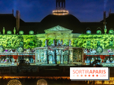 Le Grand Noël au Château de Vaux le Vicomte 2023 - photo -  A7C8398