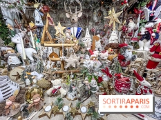 Le Marché de Noël de Janvry