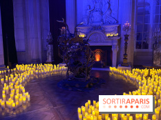 La Belle et la Bête, le spectacle au château de Maisons-Laffitte - nos photos - image00039