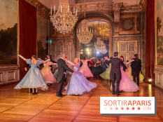 La Belle et la Bête, le spectacle au château de Maisons-Laffitte - nos photos - image00018