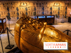 Toutankhamon, l'expérience immersive Pharaonique - les photos