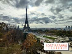 Visuel Paris 16e - Tour Eiffel automne