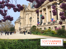 Visuel Paris 8e - Petit Palais printemps cerisiers fleurs 