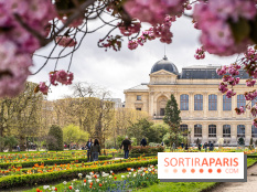 Visuel Paris 5e -  jardin des plantes - museum - printemps - cerisiers