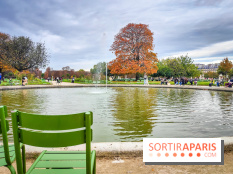 Visuel Paris 1er - jardin des Tuileries automne