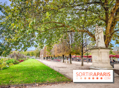 Visuel Paris 1er - jardin des Tuileries automne