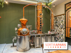 La Distillerie de l’Arbre Sec : l'atelier de création de gin à deux pas du Louvre
